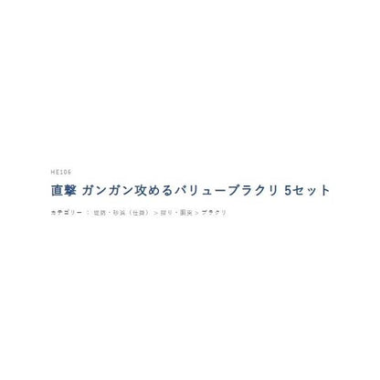 直撃 ガンガン攻めるバリューブラクリ 5セット ハヤブサ
