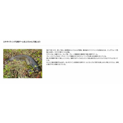 だいふく鯰 ダイワ 秋の大感謝祭