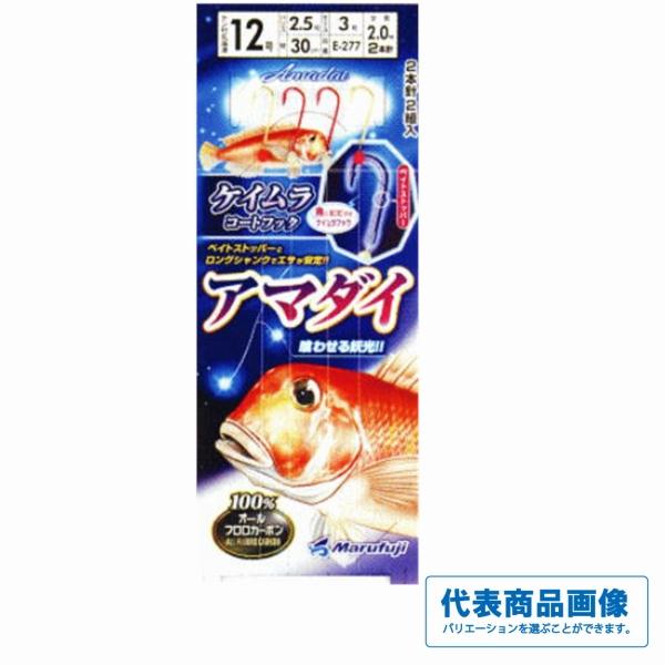 アマダイ仕掛 まるふじ 秋の大感謝祭