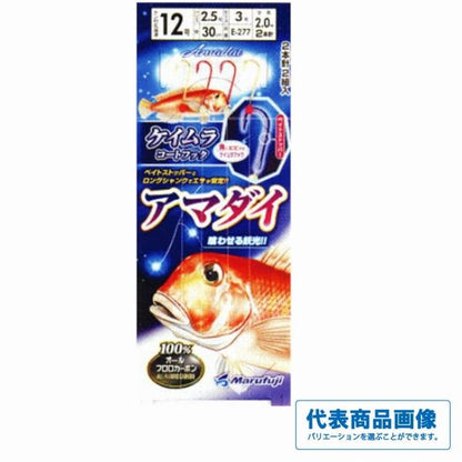 アマダイ仕掛 まるふじ 秋の大感謝祭