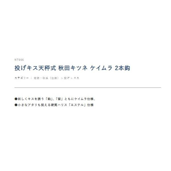 投げキス天秤式 秋田キツネ ケイムラ 2本鈎 NT666 ハヤブサ