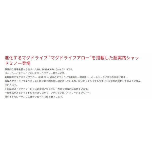 ZBLシャッドカイラ80SP ジップベイツ 釣り人応援セール