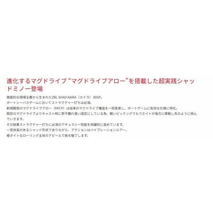 ZBLシャッドカイラ80SP ジップベイツ 釣り人応援セール