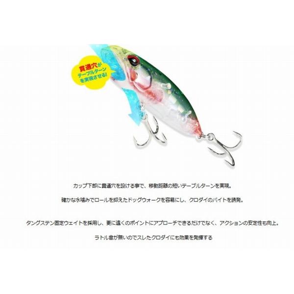 べイルーフ リプラッシュ62F DUO 秋の大感謝祭