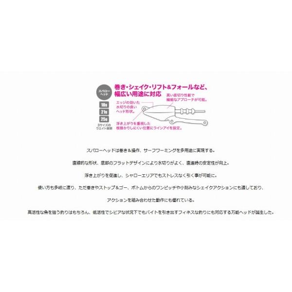 ビーチウォーカー スパローヘッド21 DUO