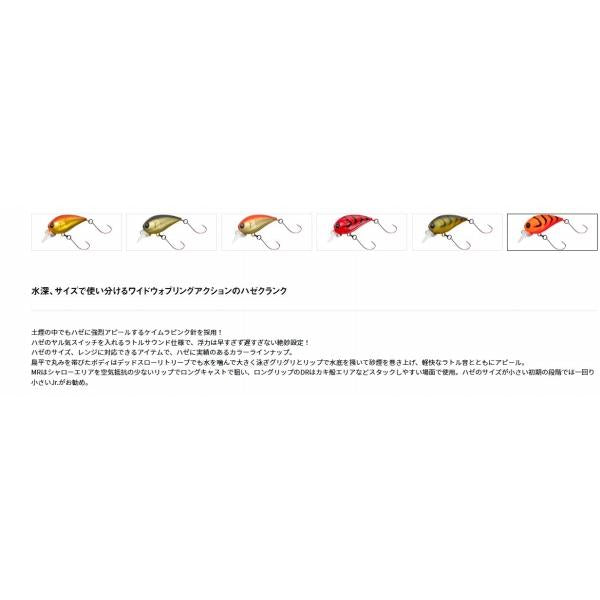 ハゼクラMR ダイワ 春の大感謝祭