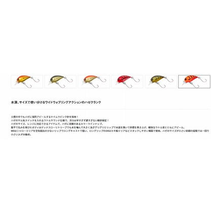 ハゼクラMR ダイワ 春の大感謝祭