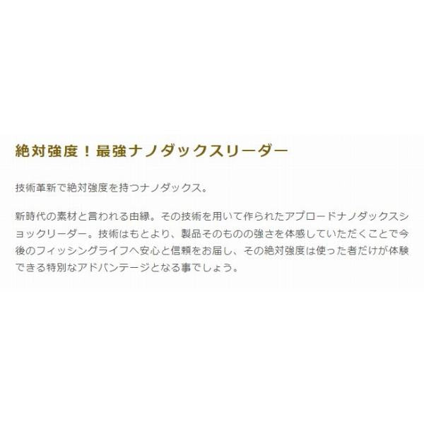 APナノダックスショックリーダー50m サンヨーナイロン 秋の大感謝祭