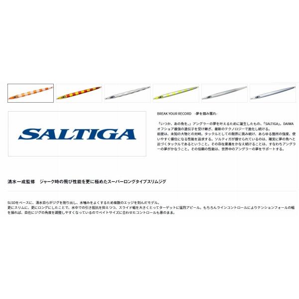ソルティガ スイムチョッパー260g ダイワ 秋の大感謝祭