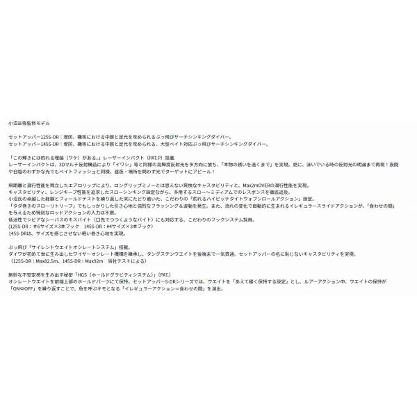 SLZセットアッパー125SDRLI ダイワ限定セール 春の大感謝祭