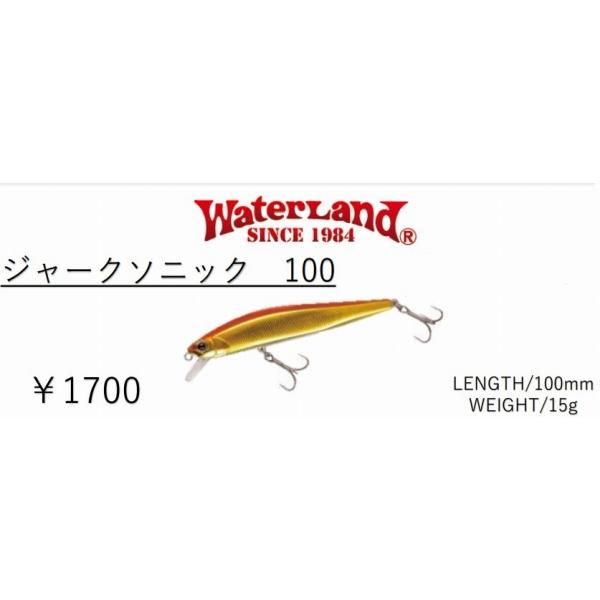 ジャークソニック 100S ウォーターランド