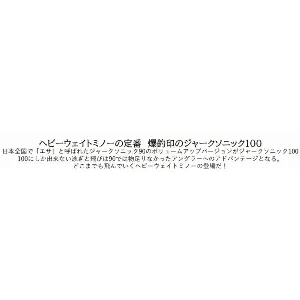 ジャークソニック 100S ウォーターランド