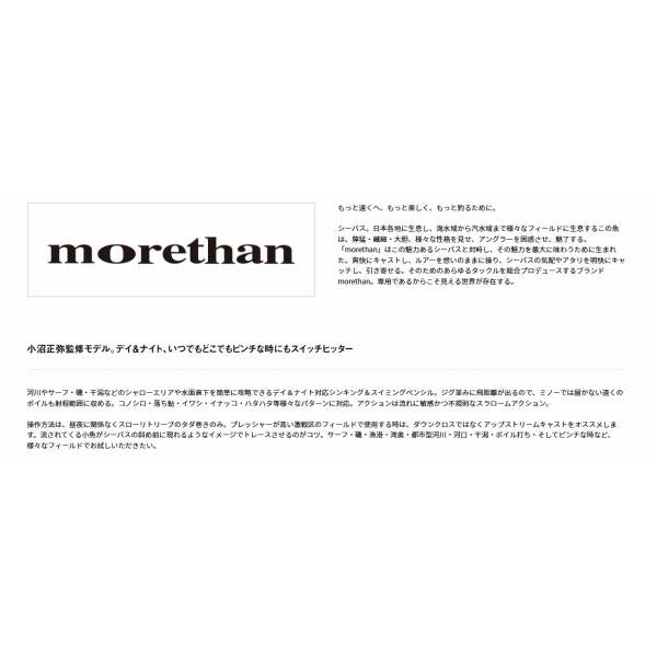 モアザン スイッチヒッター85S ダイワ 秋の大感謝祭