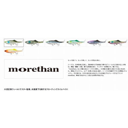 ＭORETHAN セイルアッパー165F ダイワ