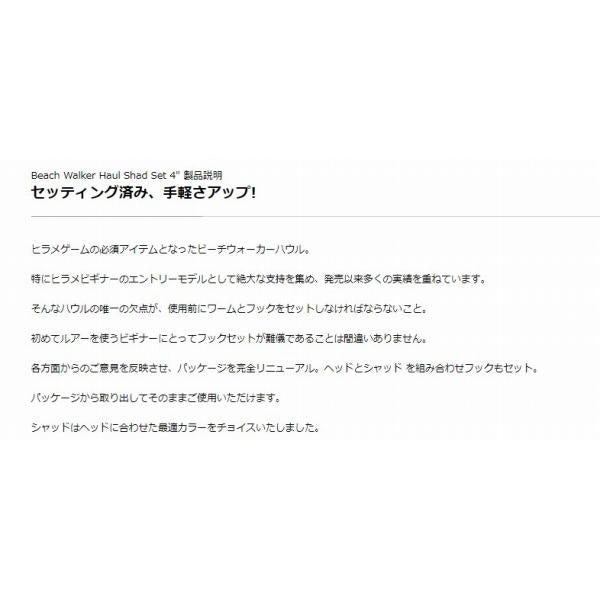 BW ハウルセット21g限定 DUO