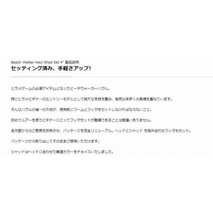 BW ハウルセット21g限定 DUO