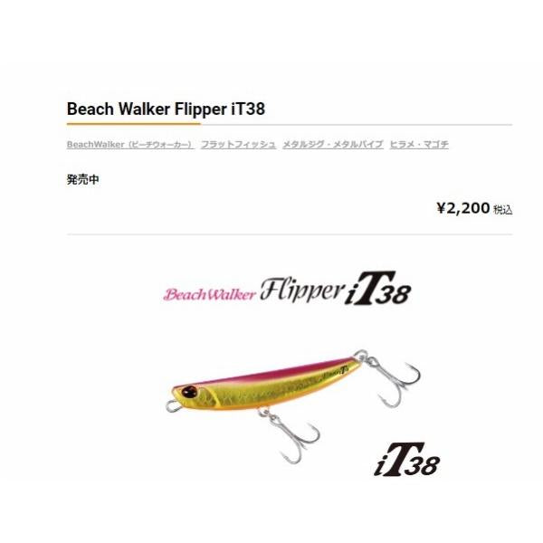 ビーチウォーカーフリッパーiT32g DUO