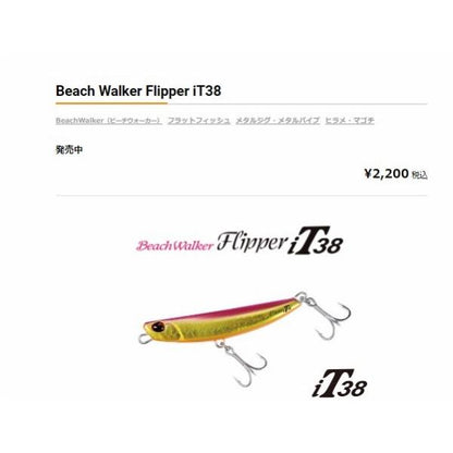ビーチウォーカーフリッパーiT32g DUO