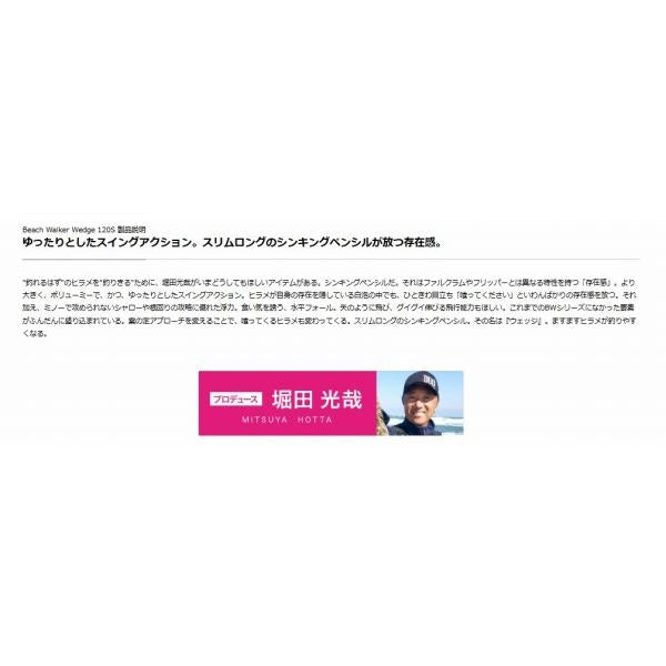 ビーチウォーカーウェッジ120S限定 DUO 秋の大感謝祭
