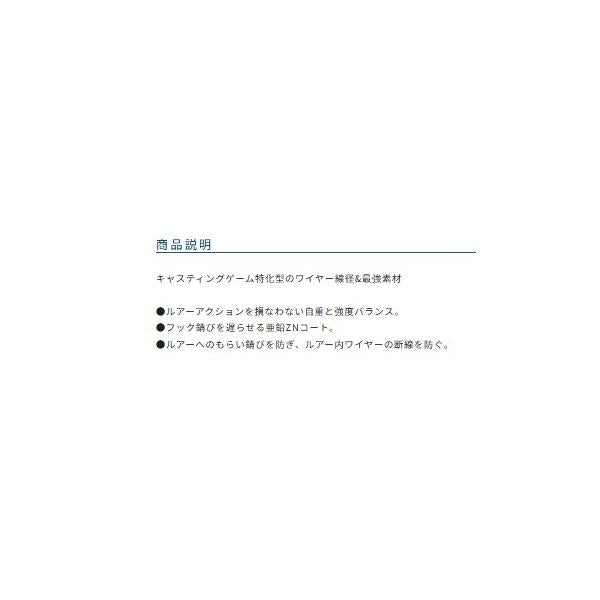P43 CTシールドワイヤー オーナー