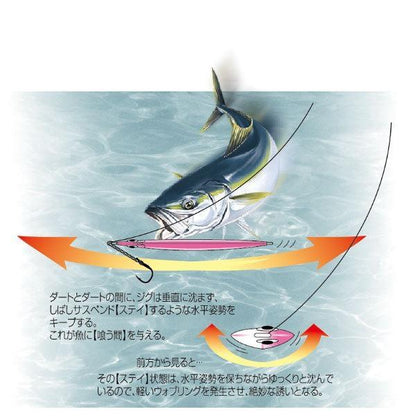 ステイ 300g シャウト 秋の大感謝祭
