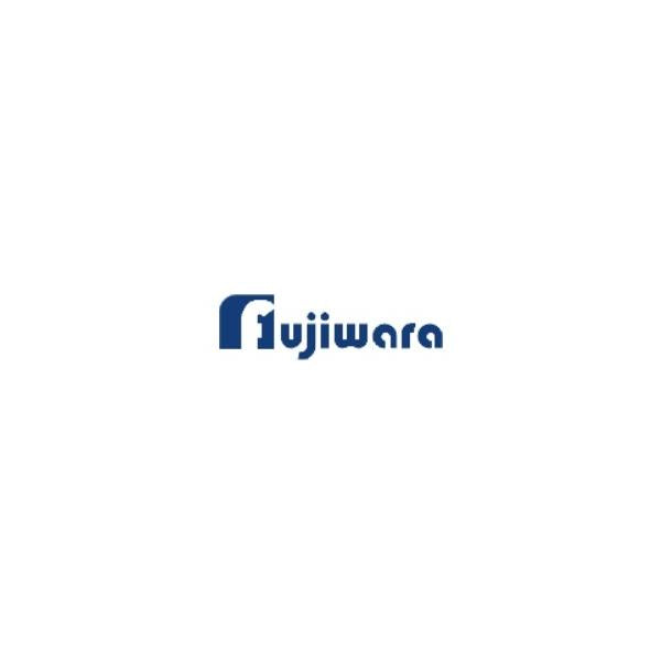 投げコブラ針50 仕掛け フジワラ