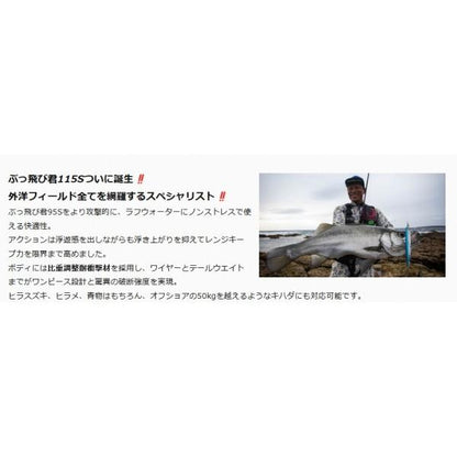 フ゛ッ飛ヒ゛君115S  ジャンプライズ 秋の大感謝祭