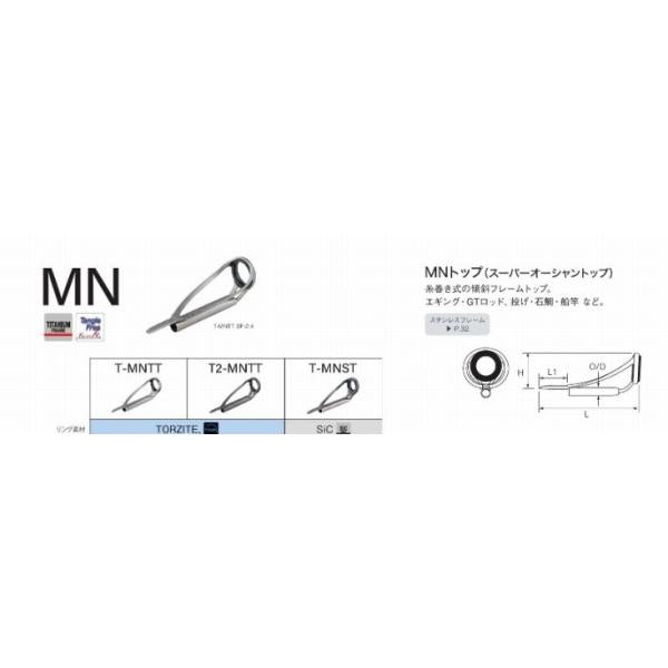 SICトップガイド T-MNST 富士工業 釣り人応援セール