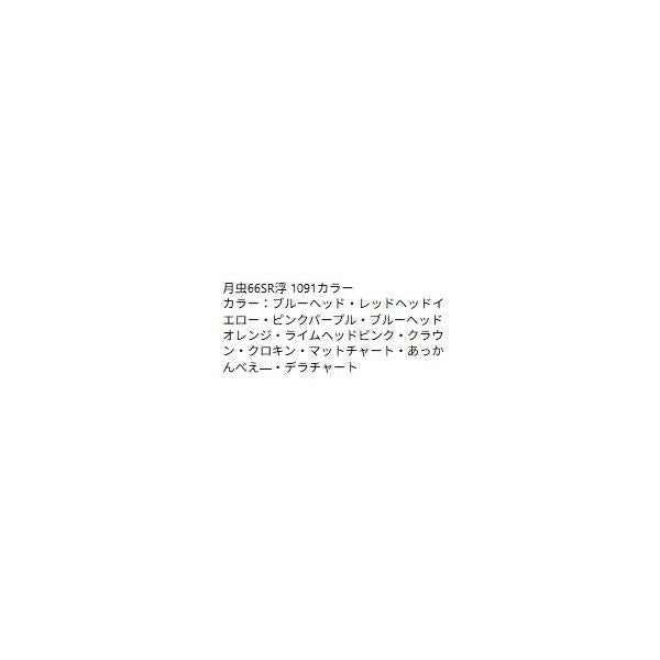月虫66SR浮 ハルシオンシステム 秋の大感謝祭