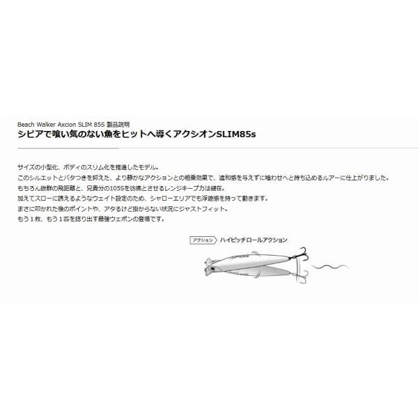 ビーチウォーカー アクシオンスリム85 DUO