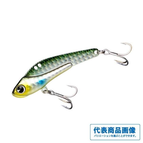 SCHNEIDER13 SD13 ima 秋の大感謝祭