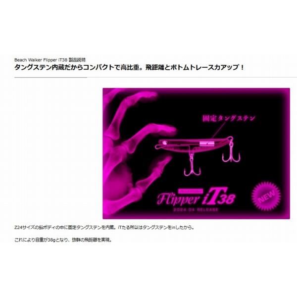 ビーチウォーカーフリッパーiT38 DUO 秋の大感謝祭