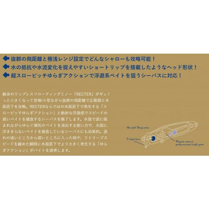 PSC レクターRECTER71F ポップシークルー 秋の大感謝祭