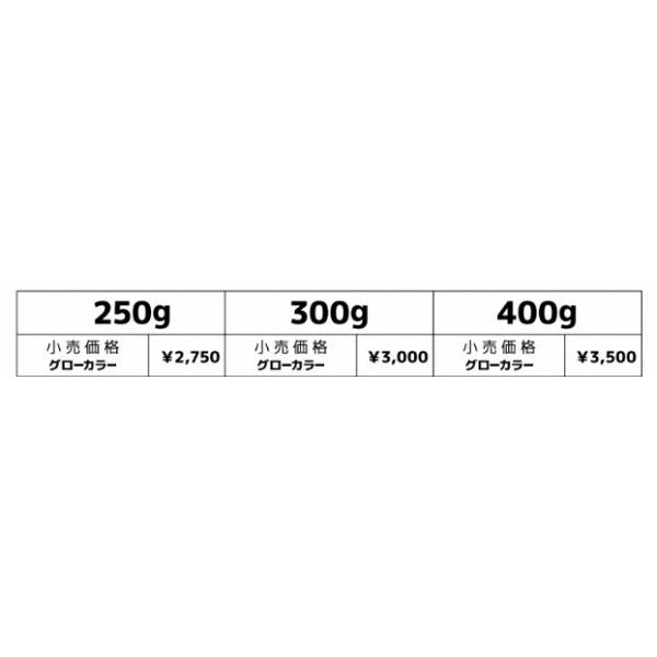 ウロコジグ400gHiroto models10th uroco