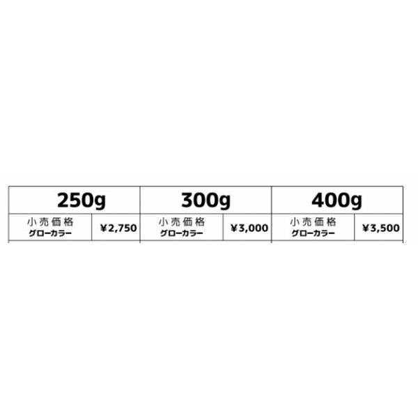 ウロコジグ300gHiroto models10th uroco