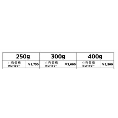 ウロコジグ300gHiroto models10th uroco