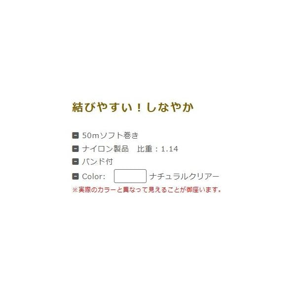 ソルトマックスショックリーダー Type-N 50m サンヨーナイロン 秋の大感謝祭