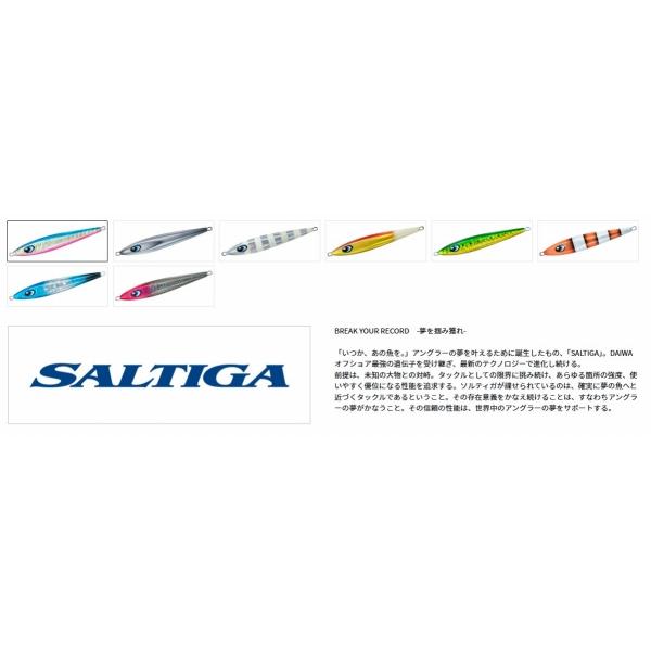 ソルティガ クレードアーティス 200ｇ ダイワ