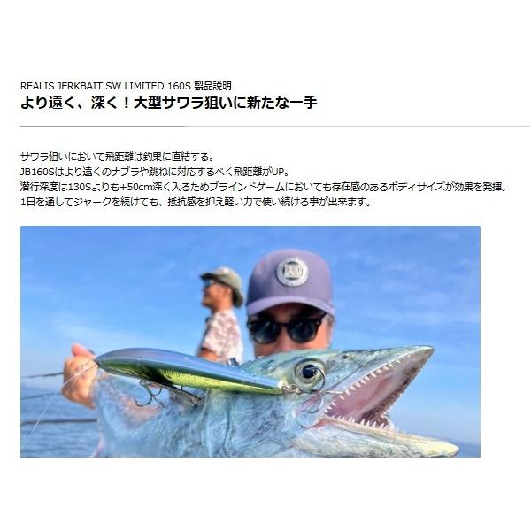 レアリス ジャークベイト160S DUO 秋の大感謝祭