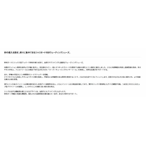 DS-2251（フェルトソール）ウェーディングシューズJG グローブライド 秋の大感謝祭