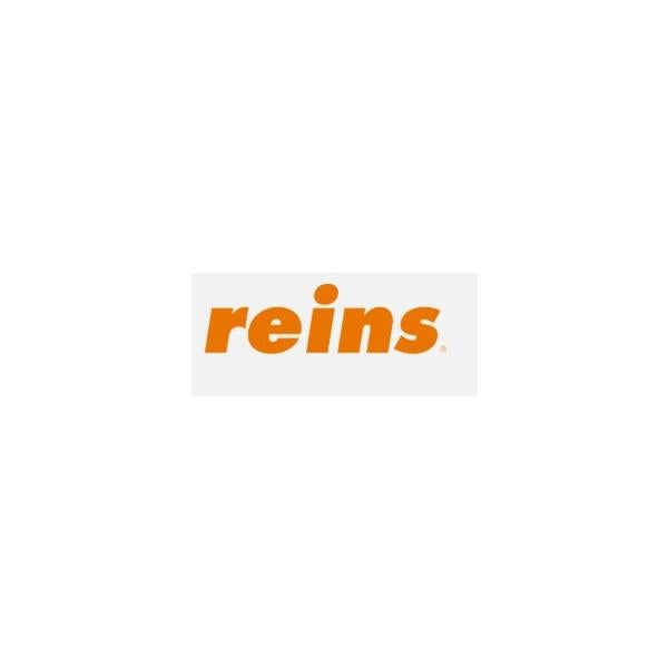 アジシラッシュ reins