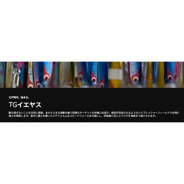 TGイエヤス 40g ボーズレス