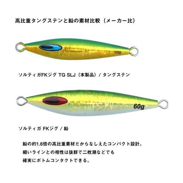 ソルティガFKジグTGSLJ40g ダイワ 秋の大感謝祭