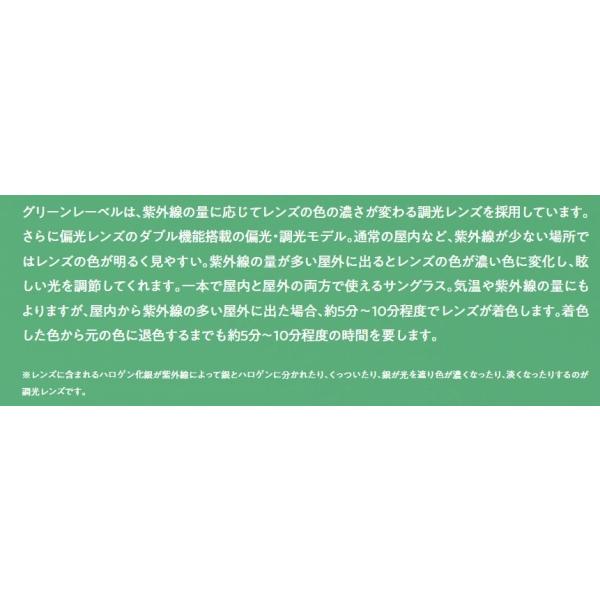 フローンサングラス FGL005 ガンプ
