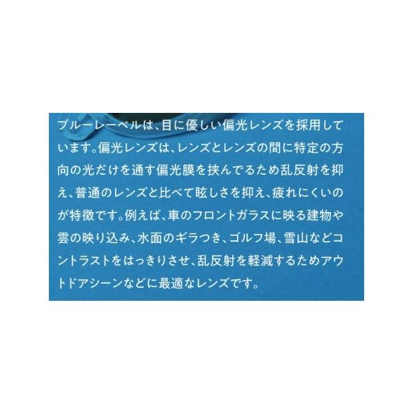 フローンサンク゛ラス FGL003-3 ガンプ