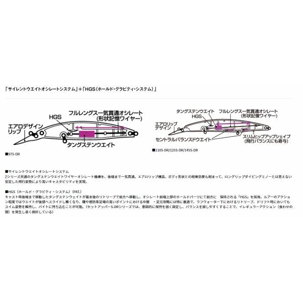 ショアラインシャイナーZセットアッパー110SDR ダイワ