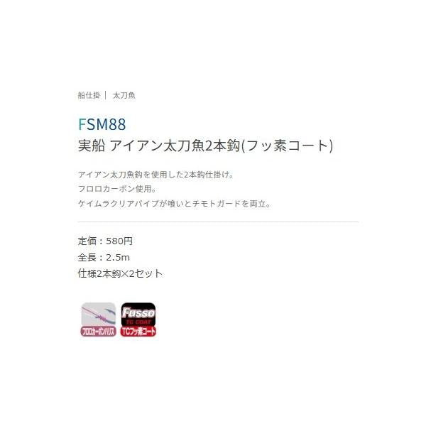 実船 アイアン太刀魚2本鈎(フッ素コート) 2/0 FSM88 ささめ