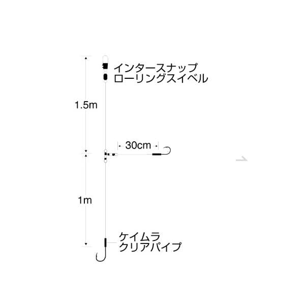 実船 アイアン太刀魚2本鈎(フッ素コート) 2/0 FSM88 ささめ