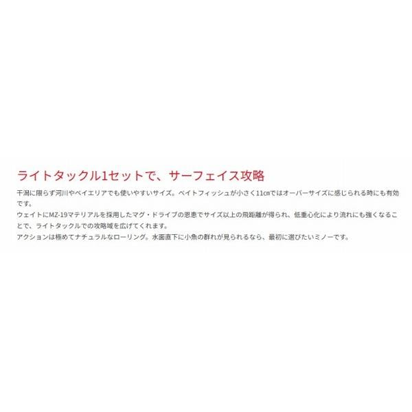 ZBLシステムミノー9F 703 アカキン ジップベイツ
