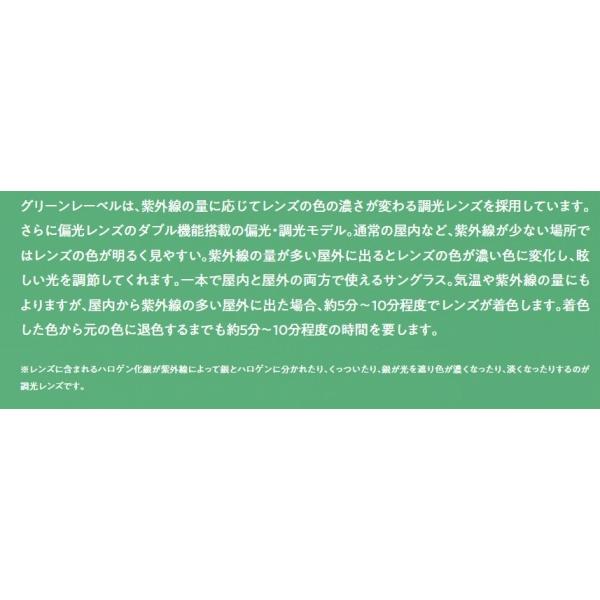 フローンサングラス FGL006-3 ガンプ